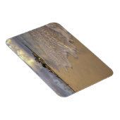 Karibik, St. Martin (St. Maarten). Maho Bay Magnet (Rechte Seite)