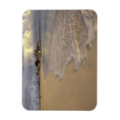 Karibik, St. Martin (St. Maarten). Maho Bay Magnet (Vertikal)