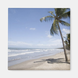 Karibik - Trinidad - Manzanilla Beach am 2 Magnet