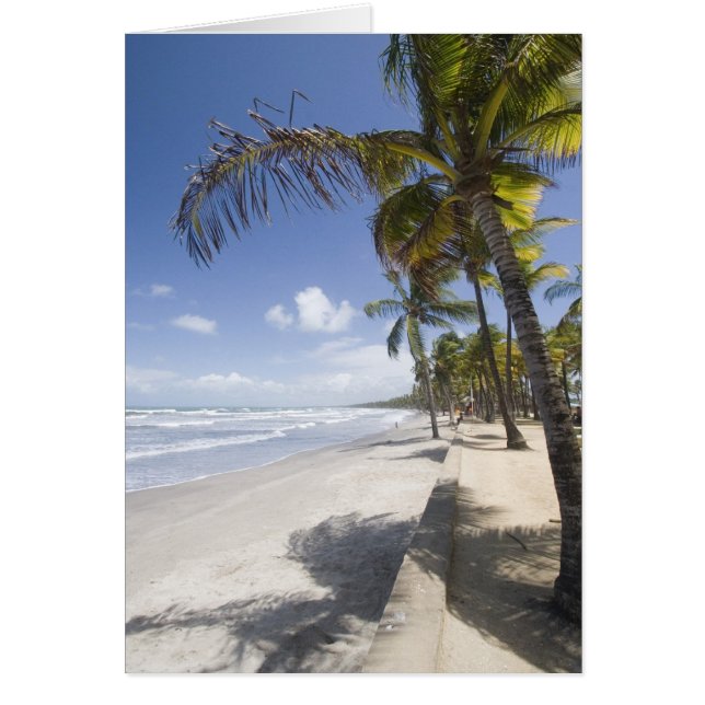 Karibik - Trinidad - Manzanilla Beach auf (Vorne)