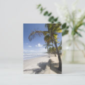 Karibik - Trinidad - Manzanilla Beach auf Postkarte (Stehend Vorderseite)