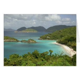 Karibik, U.S. Jungfrau Islands, St. John, Trunk