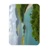 Karibik, U.S. Jungfrau Islands, St. John, Trunk 2 Magnet (Vertikal)