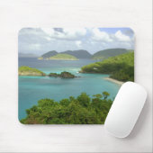 Karibik, U.S. Jungfrau Islands, St. John, Trunk 2 Mousepad (Mit Mouse)