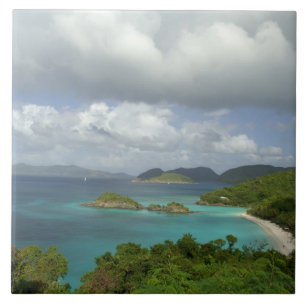 Karibik, U.S. Jungfrau Islands, St. John, Trunk 3 Fliese