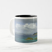 Karibik, U.S. Jungfrau Islands, St. John, Trunk 3 Zweifarbige Tasse (Vorderseite Links)
