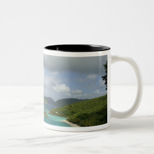 Karibik, U.S. Jungfrau Islands, St. John, Trunk 3 Zweifarbige Tasse (Rechts)