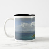 Karibik, U.S. Jungfrau Islands, St. John, Trunk 3 Zweifarbige Tasse (Links)