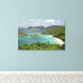 Karibik, U.S. Jungfrau Islands, St. John, Trunk Leinwanddruck (Insitu (Holzboden))