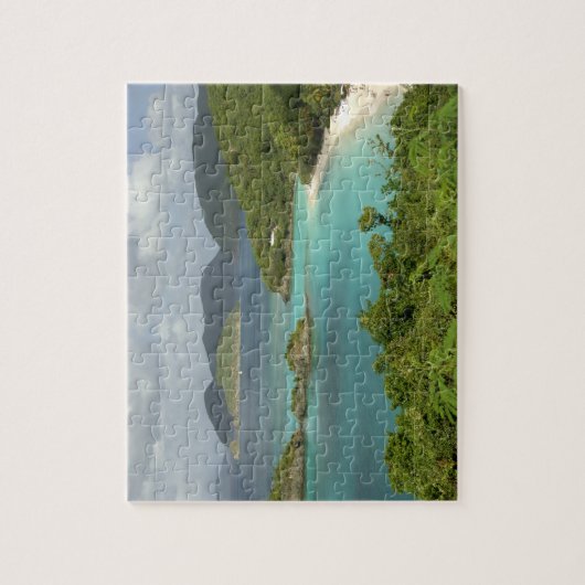 Karibik, U.S. Jungfrau Islands, St. John, Trunk Puzzle (Vertikal)