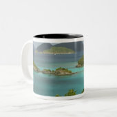 Karibik, U.S. Jungfrau Islands, St. John, Trunk Zweifarbige Tasse (Vorderseite Links)