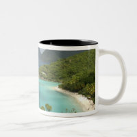Karibik, U.S. Jungfrau Islands, St. John, Trunk