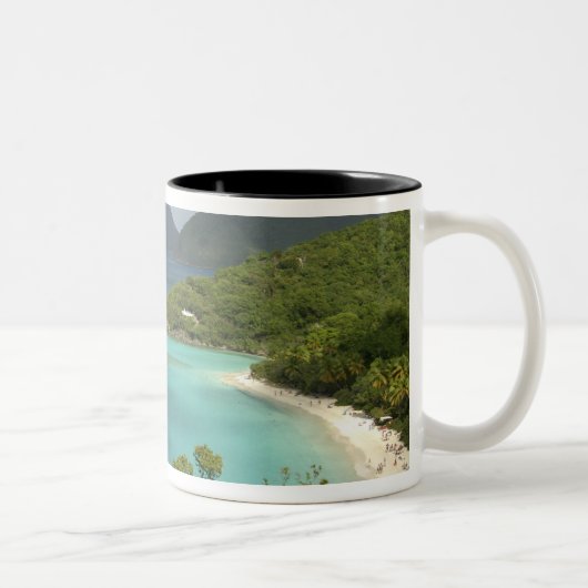 Karibik, U.S. Jungfrau Islands, St. John, Trunk Zweifarbige Tasse (Rechts)