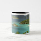 Karibik, U.S. Jungfrau Islands, St. John, Trunk Zweifarbige Tasse (Mittel)
