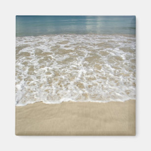 Karibik, U.S. Jungfrau Islands, St.Thomas, 2 Magnet