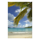 Karibik, U.S. Jungfrau Islands, St.Thomas, 4 Fotodruck (Vorne)