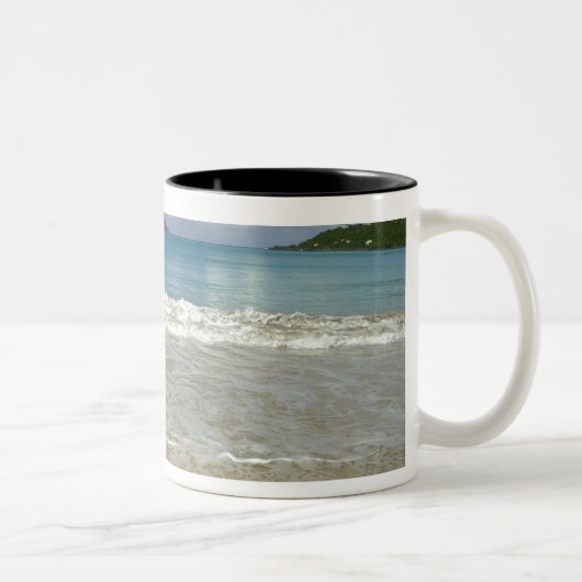 Karibik, U.S. Jungfrau Islands, St.Thomas, 6 Zweifarbige Tasse (Rechts)