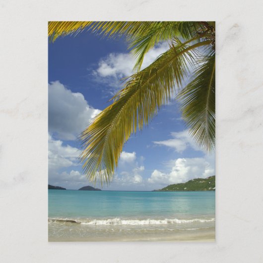 Karibik, U.S. Jungfrau Islands, St.Thomas, Postkarte (Vorderseite)