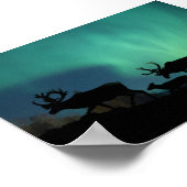 Karibik und Nordlichter Poster (Ecke)