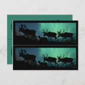 Karibik und Nordlichter Postkarte (Vorne/Hinten)