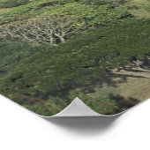 Karibik, Westindien, St. Lucia. Ansicht Poster (Ecke)