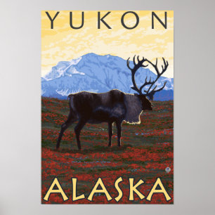 Karibik - Yukon, Alaska Poster