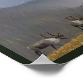 Karibik Zwei Poster (Ecke)