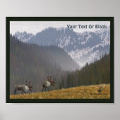 Karibik Zwei Poster (Vorne)