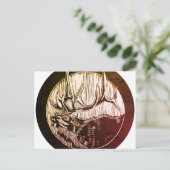 Karibikbaum und Landscaping Postkarte (Stehend Vorderseite)