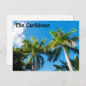 Karibische Bäume Postkarte (Vorne/Hinten)