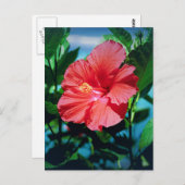 Karibische Blume Postkarte (Vorne/Hinten)