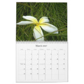 Karibische Farbe… der Blumen-Kalender 2009 Kalender (Mär 2027)