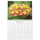 Karibische Farbe… der Blumen-Kalender 2009 Kalender (Feb 2027)