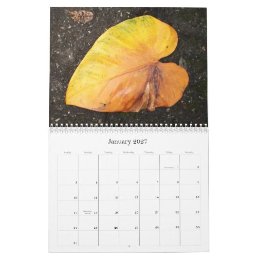 Karibische Farbe… der Blumen-Kalender 2009 Kalender (Jan 2027)