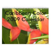 Karibische Farbe… der Blumen-Kalender 2009 Kalender (Titelbild)