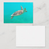 Karibische Schildkröte Mitteilungskarte (Vorne/Hinten)