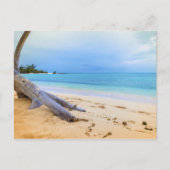 Karibische Strandszene Postkarte (Vorderseite)