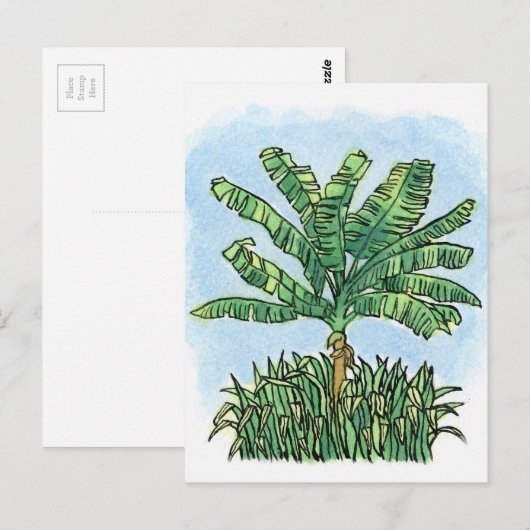 Karibischer Bananenbaum Postkarte (Vorne/Hinten)