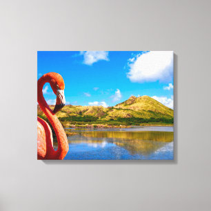 Karibischer Flamingo auf der St. Kitts Leinwand