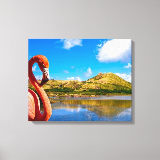 Karibischer Flamingo auf der St. Kitts Leinwand (Vorderseite)