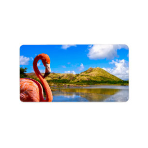 Karibischer Flamingo in St. Kitts Adressaufkleber
