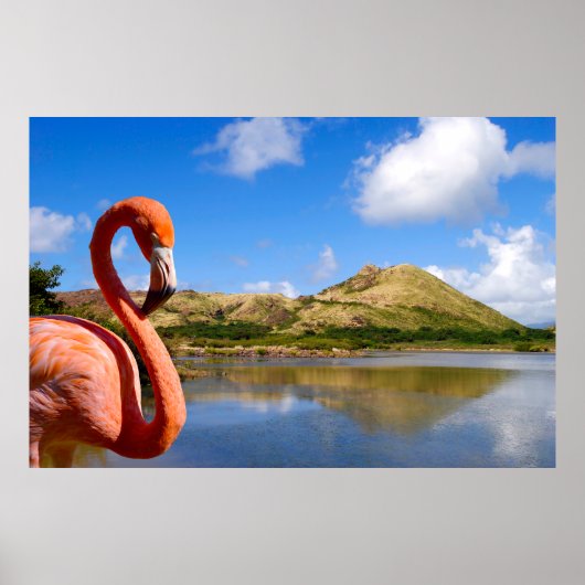 Karibischer Flamingo in St. Kitts Puzzle Poster (Vorne)