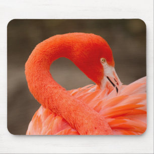 karibischer Flamingo Mousepad