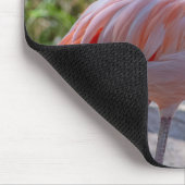 Karibischer Flamingo Mousepad (Ecke)