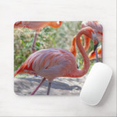 Karibischer Flamingo Mousepad (Mit Mouse)