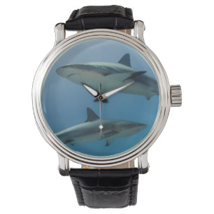 Karibischer Riffhai Armbanduhr