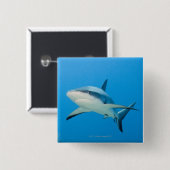 Karibischer Riffhai (Carcharhinus perezi) Button (Vorne & Hinten)