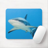 Karibischer Riffhai (Carcharhinus perezi) Mousepad (Mit Mouse)