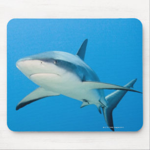 Karibischer Riffhai (Carcharhinus perezi) Mousepad