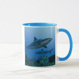 Karibischer Riffhai Jardines de la Reina Tasse